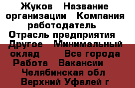 Жуков › Название организации ­ Компания-работодатель › Отрасль предприятия ­ Другое › Минимальный оклад ­ 1 - Все города Работа » Вакансии   . Челябинская обл.,Верхний Уфалей г.